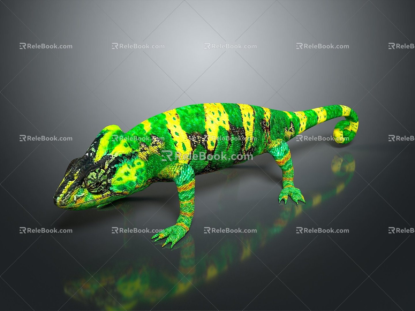 Lizard Anime Lizard Chameleon Cartoon Lizard Reptile Cold Blooded Animal Reptile Reptile Class 3d model