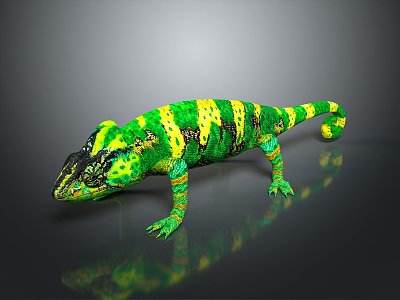 Lizard Anime Lizard Chameleon Cartoon Lizard Reptile Cold Blooded Animal Reptile Class 3d model