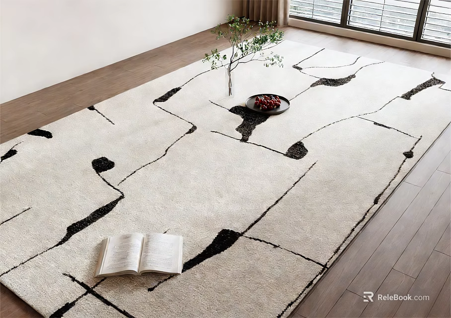 Square Carpet With Black White Abstract Pattern Open Book Small Plant On Wooden Floor 3d model 