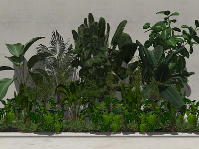 Various Types Of Lush Green Shrubs In Outdoor Garden Landscape Design 3d model