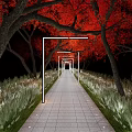 Paved Pathway With Illuminated Street Lamps Red Leaf Trees And Grass Landscaping