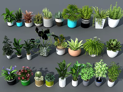 Diverse Potted Plants With Various Greenery Types Colorful Ceramic And Woven Planters For Indoor Decor 3d model