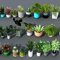 Diverse Potted Plants With Various Greenery Types Colorful Ceramic And Woven Planters For Indoor Decor