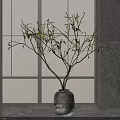 Bonsai Potted Plant With Slender Branches Green Leaves In Gray Ceramic Pot On Stone Tabletop