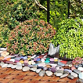 Lush Living Plant Wall With Green Vines Bushes And Decorative Pebble Border