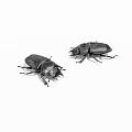 Two Black Reptiles Crawling On White Background With Shiny Scales 3d model