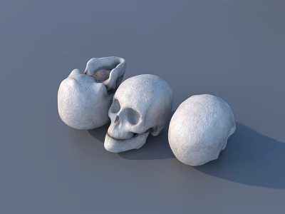 Three Plaster Skulls With Broken Piece On Gray Background 3d model