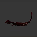 Red Scorpion With Curved Tail Sharp Claws And Shiny Body On Dark Background
