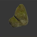 Natural Mossy Stone with Irregular Shape and Earthy Green Texture for Decoration