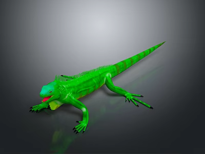 Reptile Lizard 3D Model Display On Black Background With Detailed Features 3d model