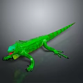 Reptile Lizard 3D Model Display On Black Background With Detailed Features