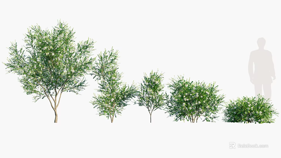 Various Arbor Trees in Different Sizes Displaying Lush Green Foliage and Branches 3d model