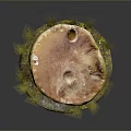 Fresh Orange Red Cap Mushroom With Yellow Edge And Green Grassy Base On Dark Background