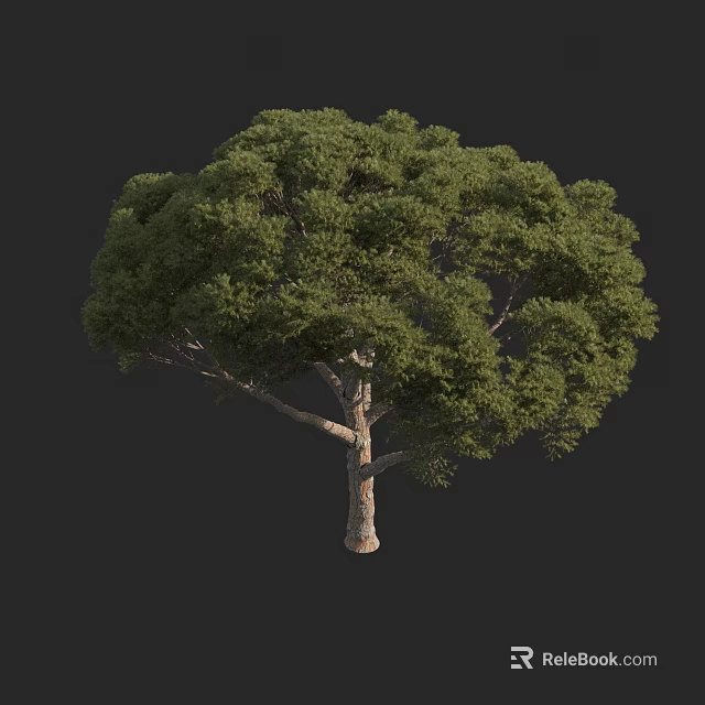 Lush Green Arbor With Dense Foliage And Sturdy Trunk In 3D Rendering 3d model