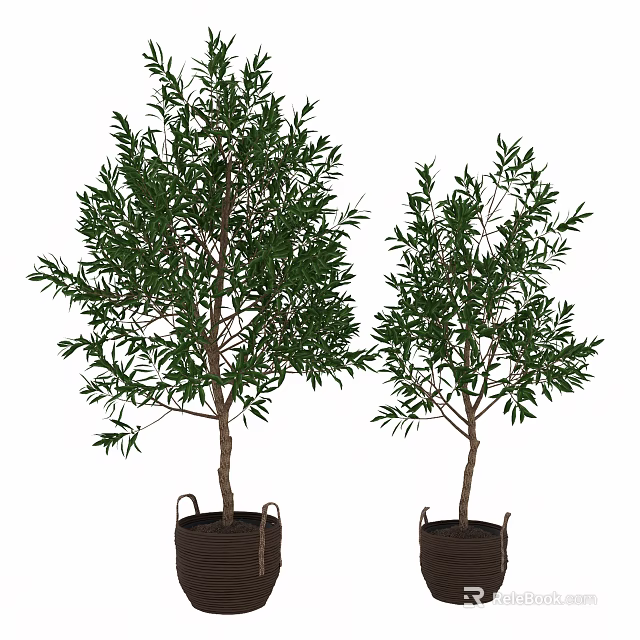 Two Green Leafy Bonsai Potted Trees In Brown Rope Handled Planters 3d model 