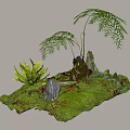 Natural Plant Combination With Various Ferns Decorative Rocks And Moss Covered Ground
