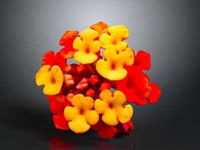 Vibrant Plant with Red and Yellow Flowers in Spherical Bloom Arrangement on Dark Background 3d model