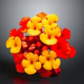 Vibrant Plant with Red and Yellow Flowers in Spherical Bloom Arrangement on Dark Background