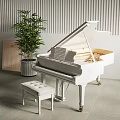 Elegant White Grand Piano and Art Frame Interior Design With Green Plant