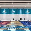modern swimming pool 3d model
