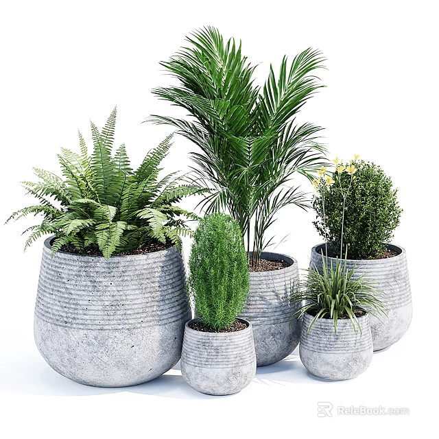 Various Potted Plants With Fern Palm Shrub In Textured Gray Pots 3d model 