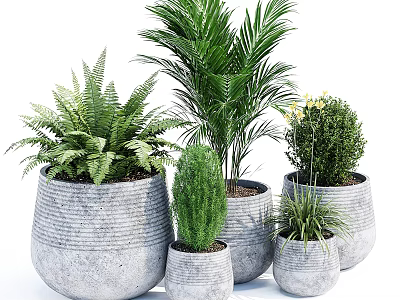 Various Potted Plants With Fern Palm Shrub In Textured Gray Pots 3d model