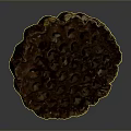 Fresh Reddish Brown Lotus Root Slice With Hollow Holes On Dark Background