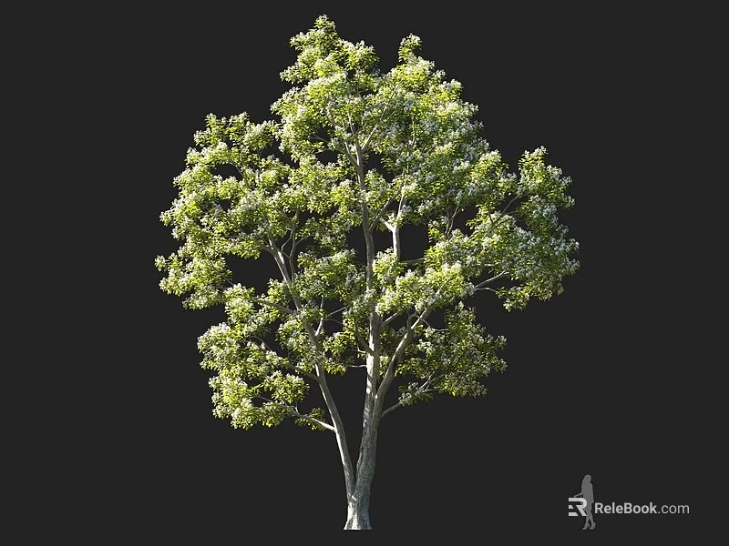 Tall Arbor Tree With Dense Green Foliage And Thick Trunk Featuring Human Figure For Scale 3d model 