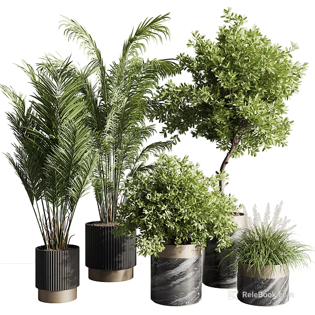 Bonsai Potted Plants With Various Greenery In Decorative Black Gray Containers 3d model