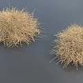 Dried Grass Plants With Spherical Shape Displayed on Dark Background Surface 3d model