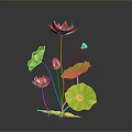 Pink Lotus Shaped Dessert With Green Leaf Decor On Black Background