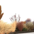 Wavy Fashion Show Runway Decorated With Colorful Dried Grasses Reeds Orange Yellow Purple Red