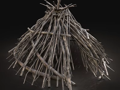 Rustic Conical Outdoor Tent Constructed Using Natural Tree Branches and Twigs 3d model