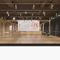 Kids Dance Fitness Studio With Wooden Floor Mirrors Barre And Green Balls