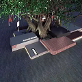 Tree Pit Surrounding Large Tree With Green Leaves Decorative Lights And Paved Ground At Night