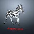 Detailed 3D Striped Zebra Model With Skeleton Rigging And Animation