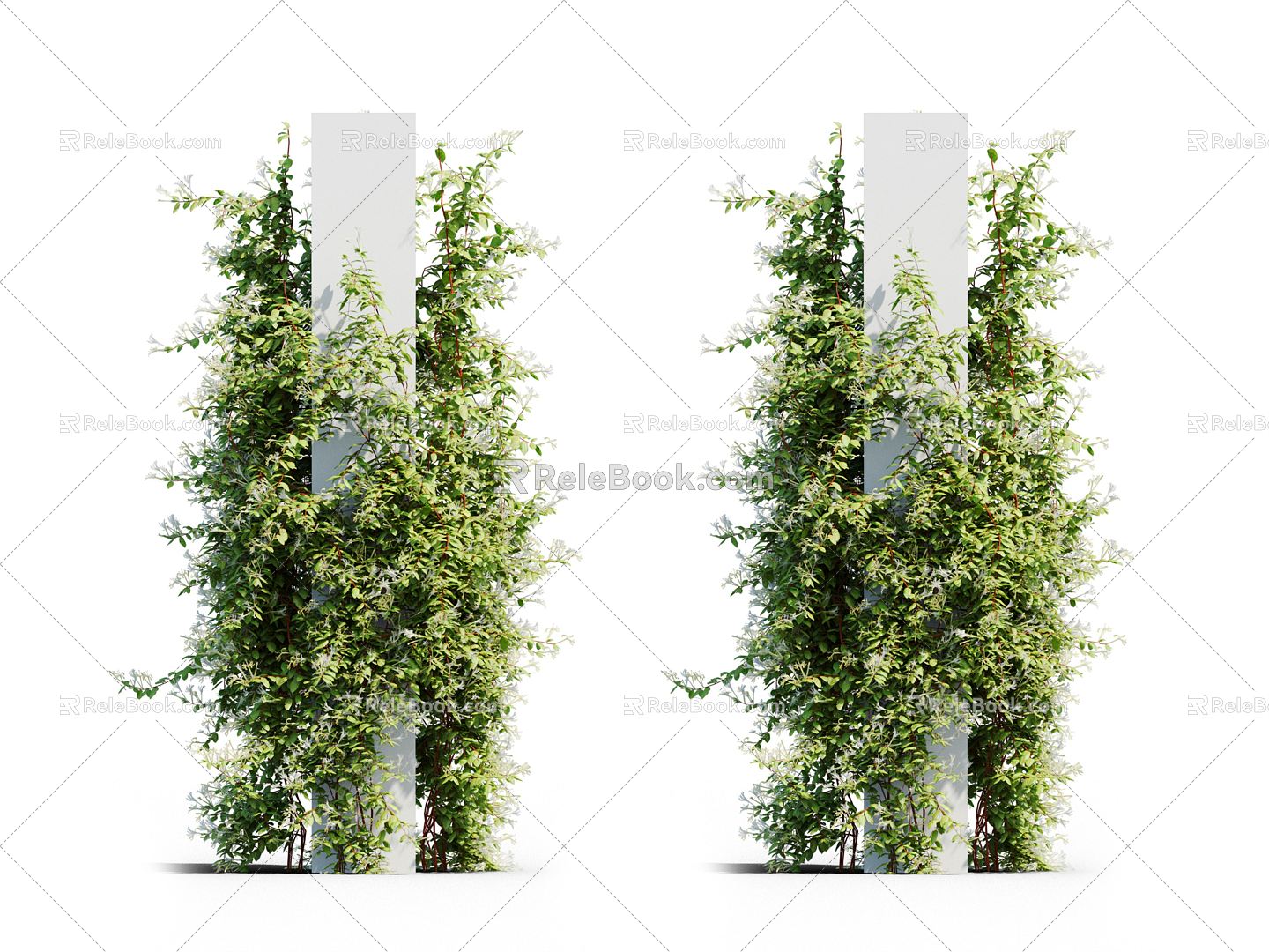 Modern Vine Vine Plant 3d model