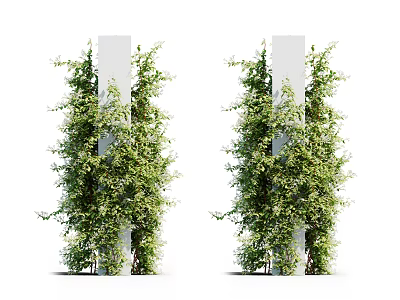 Lush Green Climbing Vines Vertically Covering White Pillars With Dense Foliage 3d model