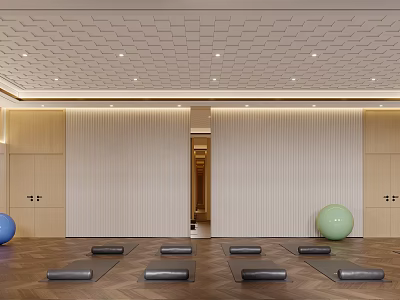 Fitness Studio With Yoga Mats Exercise Balls And Wooden Cabinets 3d model