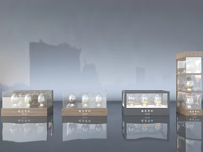 Decorative Ornament Display Set With Transparent Cases And Wooden Bases 3d model