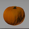 Healthy Organic Fresh Ripe Orange Pumpkin With Smooth Surface On Dark Background