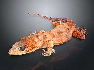 Detailed Brown Gecko With Textured Skin And Large Eyes On Black Background 3d model