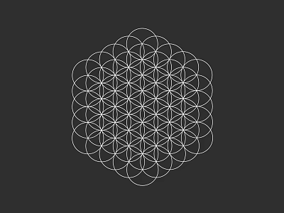 Intricate Sacred Geometry Pattern With Interlocking Circles White Lines On Black Background 3d model
