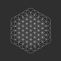 Intricate Sacred Geometry Pattern With Interlocking Circles White Lines On Black Background