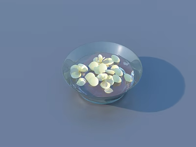 Transparent Glass Bowl With Water And White Petals For Daily Use 3d model