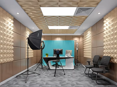 Public Office Space With Acoustic Panel Walls Ceiling Lights Blue Backdrop White Desk Black Chairs 3d model