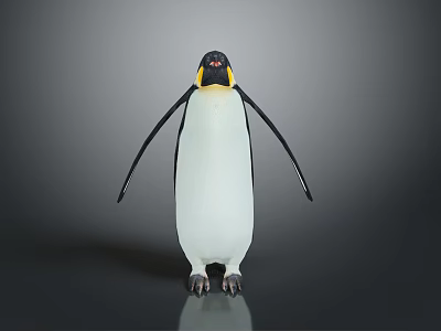 Emperor Penguin Standing In Gray Background With Shiny Reflective Surface And Yellow Neck Patch 3d model