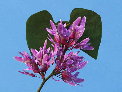 Vibrant Purple Flowers With Fresh Green Leaves Against Blue Sky Background 3d model