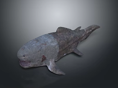Ancient Fish With Rough Skin And Primitive Body Structure In Realistic Model 3d model