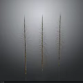 Three Slender Bare Trees Against Dark Gradient Background With Reflective Ground 3d model